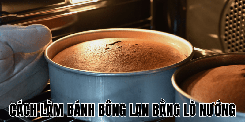 Cách Làm Bánh Bông Lan Bằng Lò Nướng